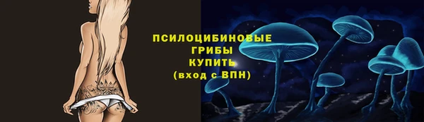 гашик Михайлов