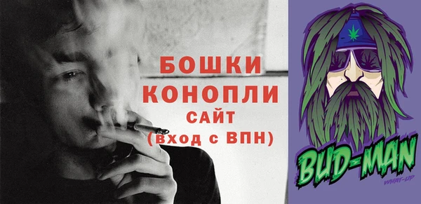 ECSTASY Бикин